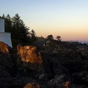 Meet your Posher, Oryah